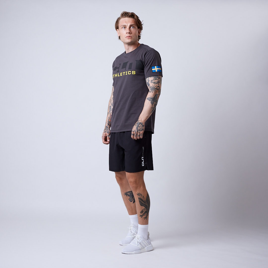 Haze t-shirt Dark grey