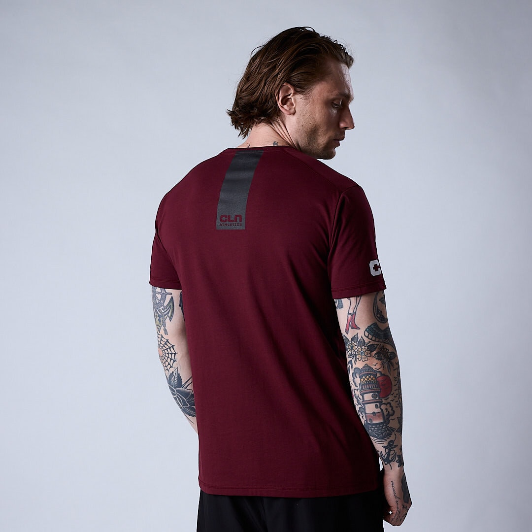 Haze t-shirt Dark red